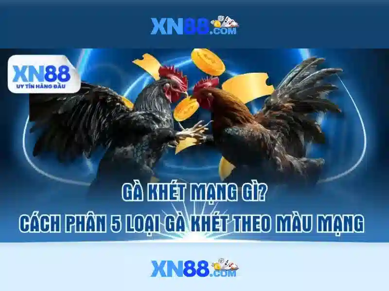 xn88: Một cái nhìn tổng quan Giao diện nhà cái hoàn hảo