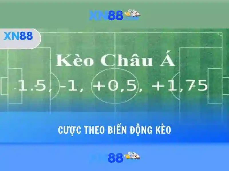 Tổng quan chủ đề và giá trị cốt lõi