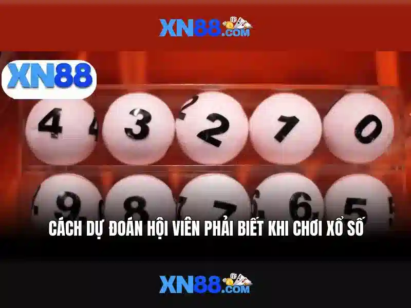 xn88: nền tảng trò chơi trực tuyến uy tín