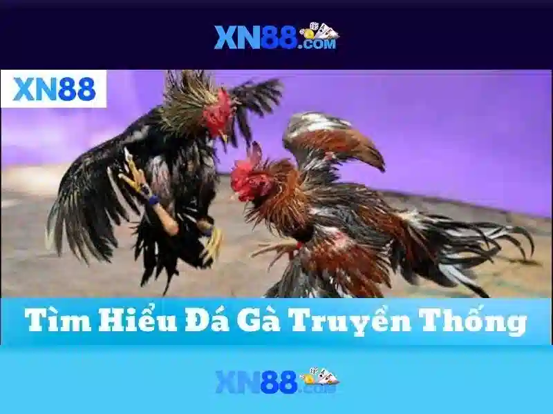 Giao diện nhà cái hoàn hảo