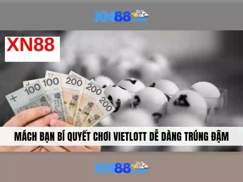 Trải nghiệm người dùng và phản hồi cộng đồng