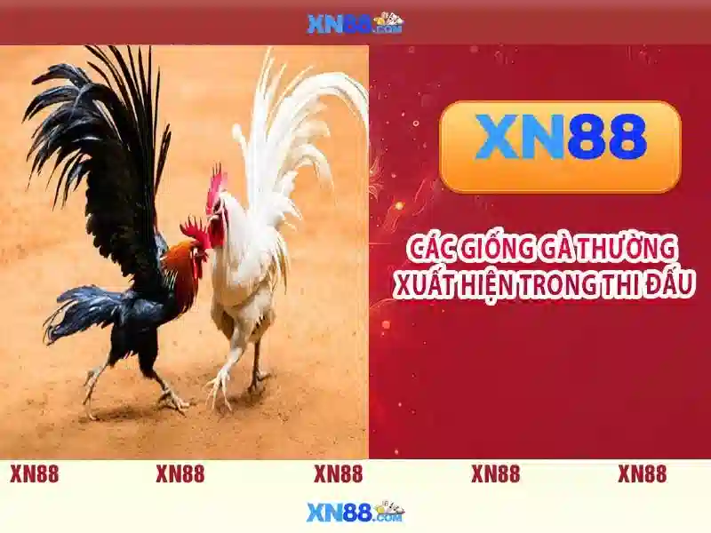 xn88 win – Tổng quan chủ đề và giá trị cốt lõi