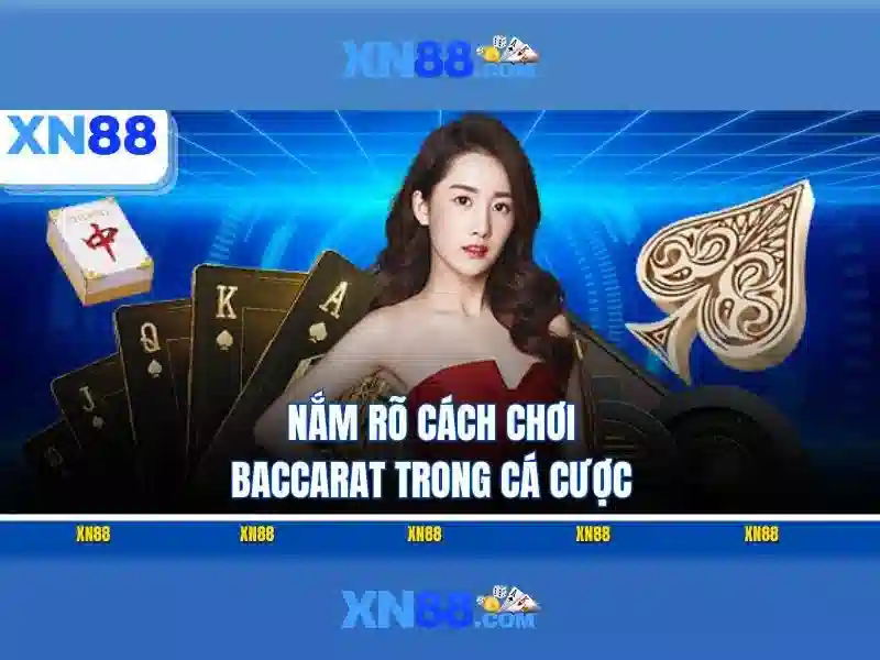 xn88 store – chủ đề tổng quan và giá trị cốt lõi
