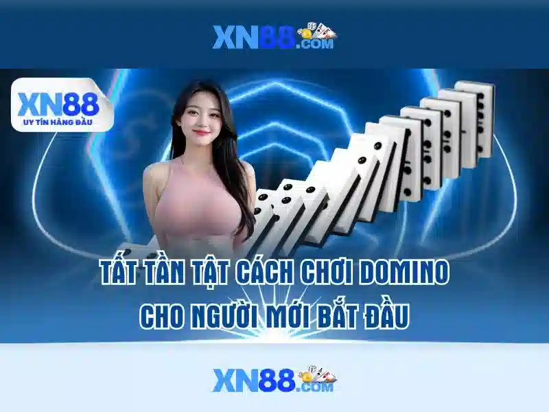 Lịch sử và nguồn gốc\n