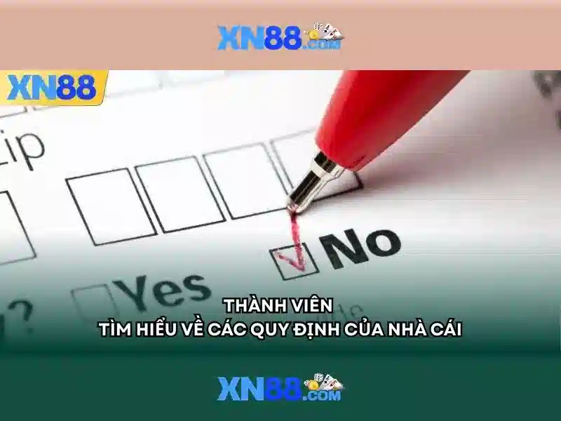 Giao diện người dùng và trải nghiệm\n\n
