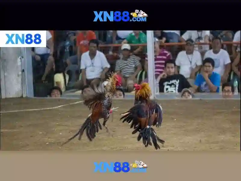 https://tiendam45.com/images/text/xn88/xn88-text2603312741.webp An toàn và thanh toán