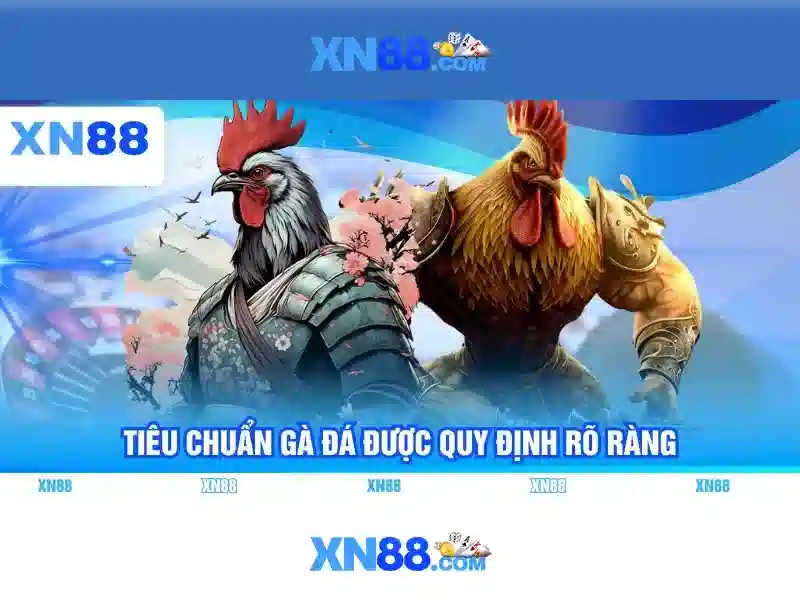 xn88 official - Trải nghiệm cược đỉnh cao với xn88 apk