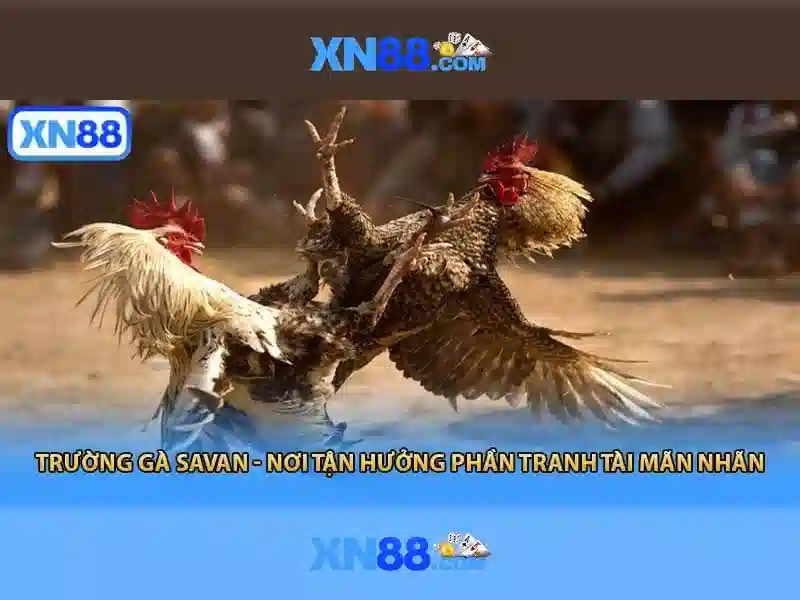 tool xn88 – Tổng quan chủ đề và giá trị cốt lõi