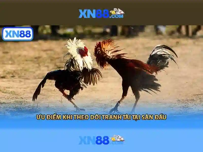 Các trò chơi và ưu điểm
