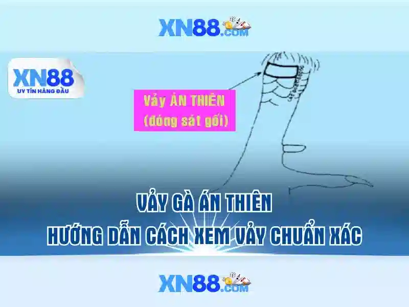 Giới thiệu về xn88