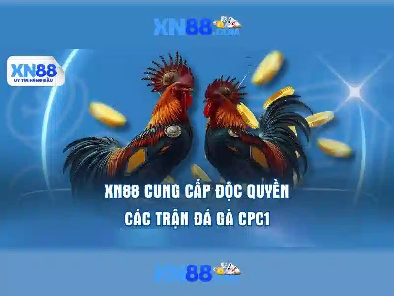 https://tiendam45.com/images/text/xn88/xn88-text260312461.webp Tổng quan xn88 voq33.za.com – Giá trị cốt lõi