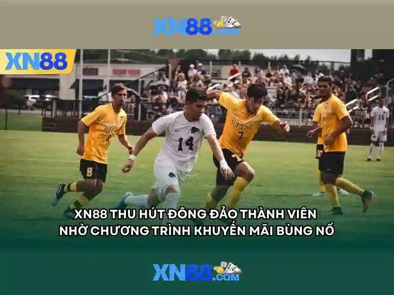 Hướng tới tương lai của xn88