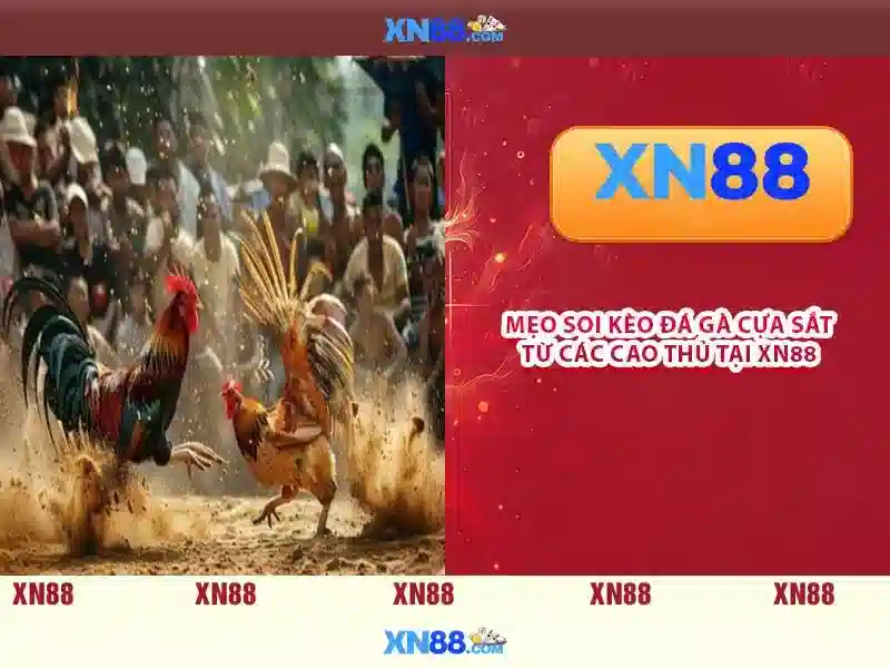 xn88 uy tín không – Trải nghiệm và đánh giá tin cậy