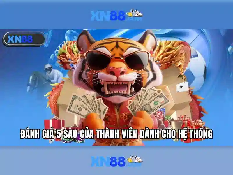 https://tiendam45.com/images/text/xn88/xn88-text2603313643.webp \