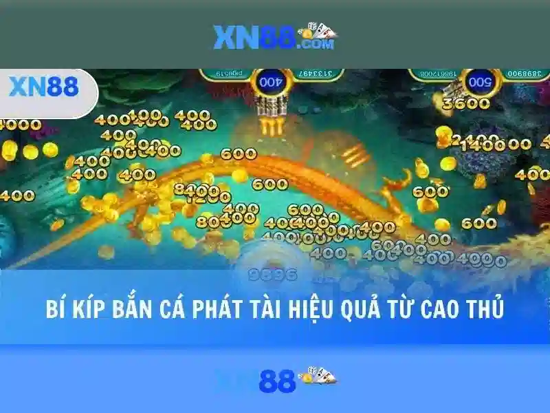 XN88: Một cái nhìn tổng quan về nền tảng và ảnh hưởng của nó Giao diện nhà cái hoàn hảo