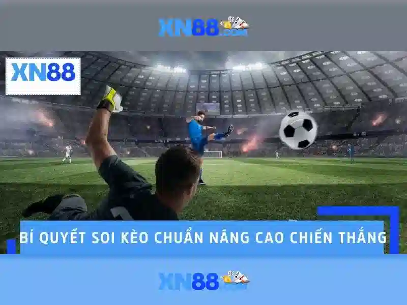 Kết luận và triển vọng của xn88
