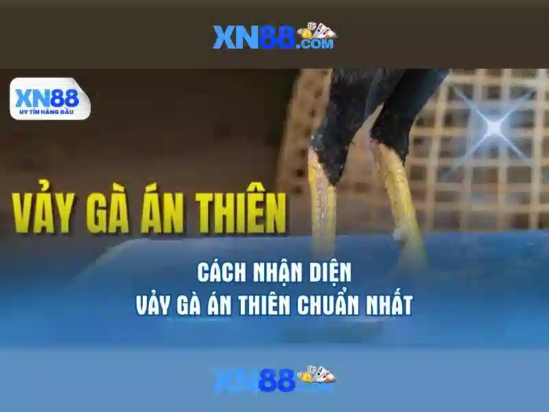 An ninh và trách nhiệm xã hội tại xn88