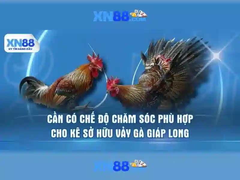 https://tiendam45.com/images/text/xn88/xn88-text260312893.webp Hướng dẫn tham gia và hỗ trợ