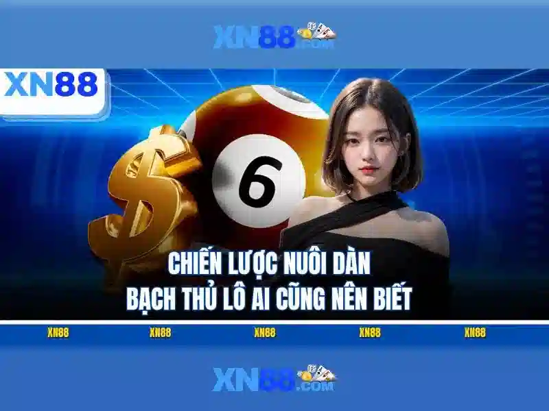 xn88 - Tổng quan về nền tảng cá cược trực tuyến