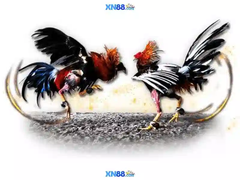 Giao diện nhà cái hoàn hảo