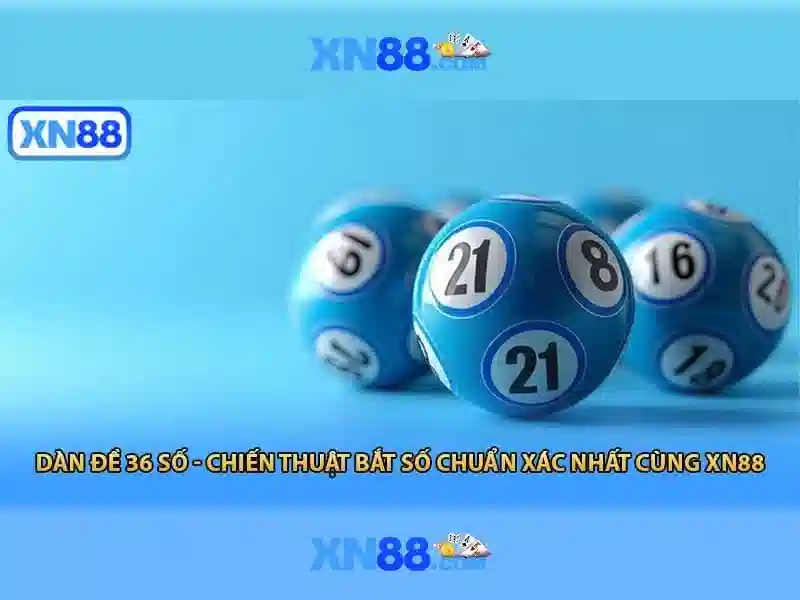 xn88 và những khía cạnh quan trọng