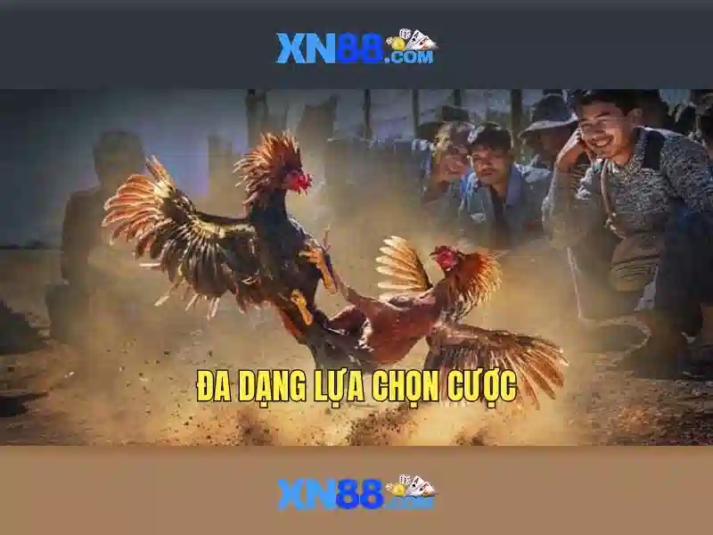 https://tiendam45.com/images/text/xn88/xn88-text260312593.webp Giới thiệu về xn88