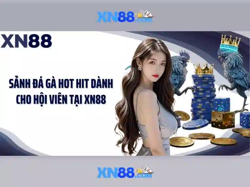 https://tiendam45.com/images/text/xn88/xn88-text260330948.webp Trải nghiệm người dùng