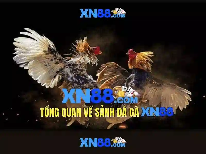 Giao diện nhà cái hoàn hảo
