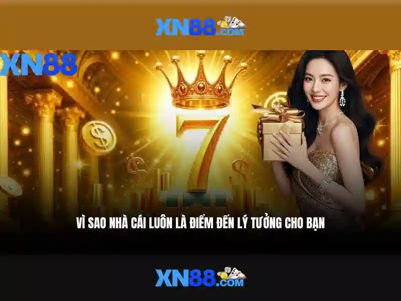 XN88 là gì?