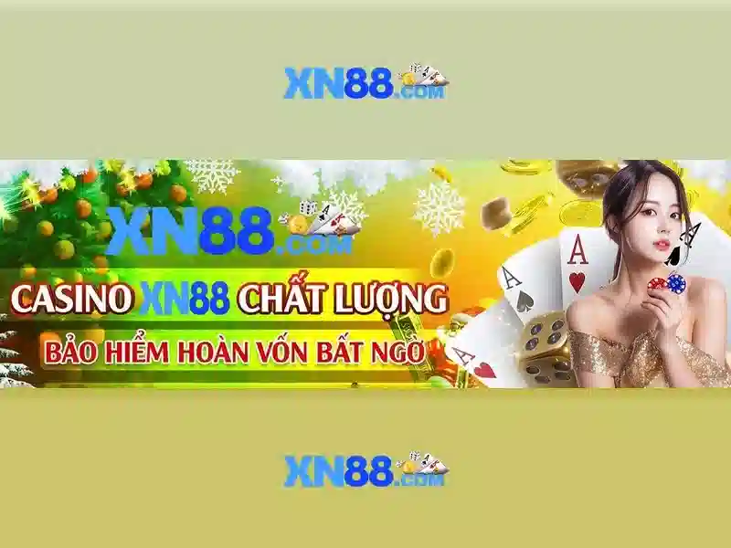 Hướng dẫn tham gia và lưu ý pháp lý