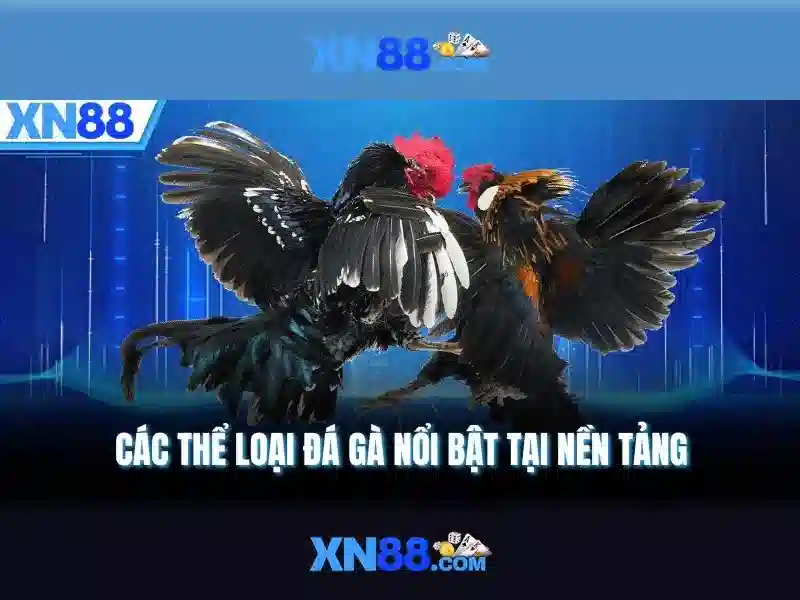 xn88: Gioi thieu ve mot nen tang giai tri online