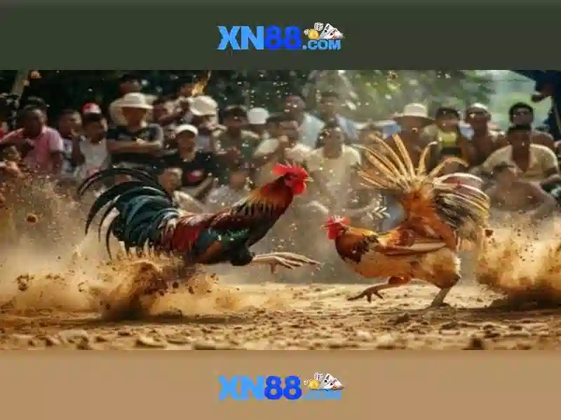 Hỗ trợ khách hàng và trải nghiệm người dùng\n\n