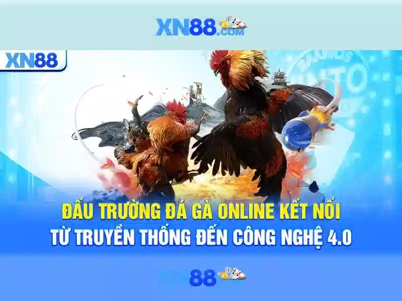 XN88: Khai phá thế giới cá cược trực tuyến an toàn