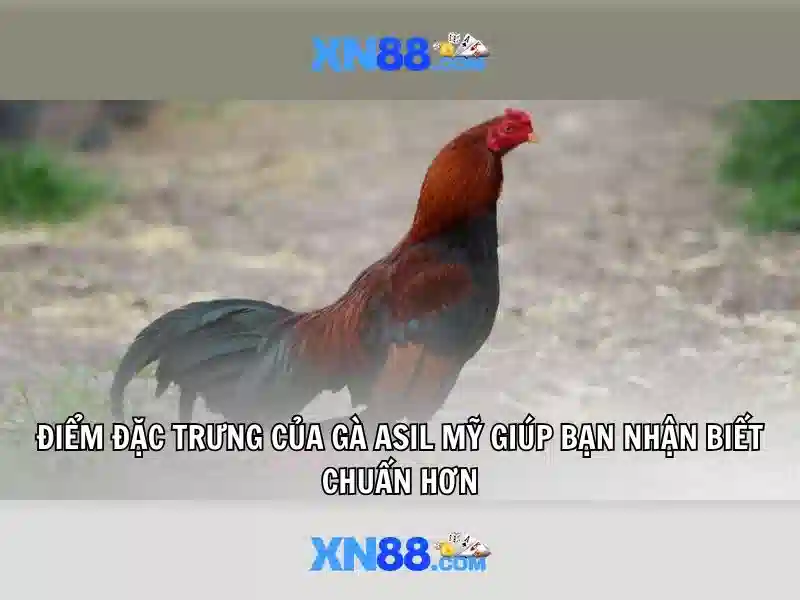 telegram xn88 code nx88 – Tổng quan và Giá trị Thương hiệu