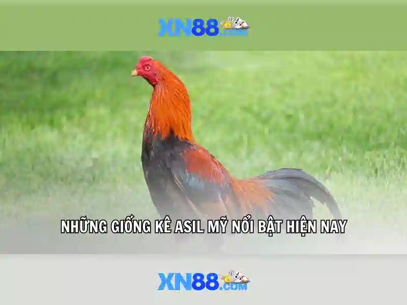 https://tiendam45.com/images/text/xn88/xn88-text2603121624.webp Tiêu chí và sứ mệnh của xn88