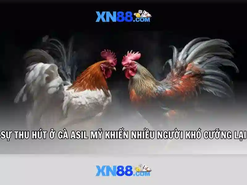 xn88: một cái nhìn tổng quan về nền tảng trực tuyến Giao diện nhà cái hoàn hảo