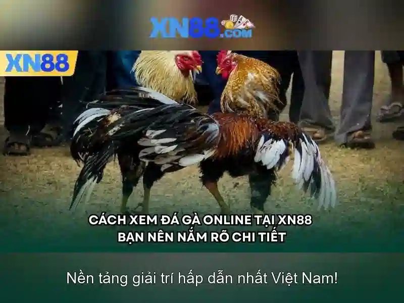 https://tiendam45.com/images/text/xn88/xn88-text2603313477.webp An toàn và tuân thủ pháp lý