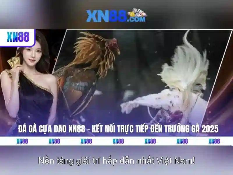 Các công cụ và tính năng hỗ trợ người chơi