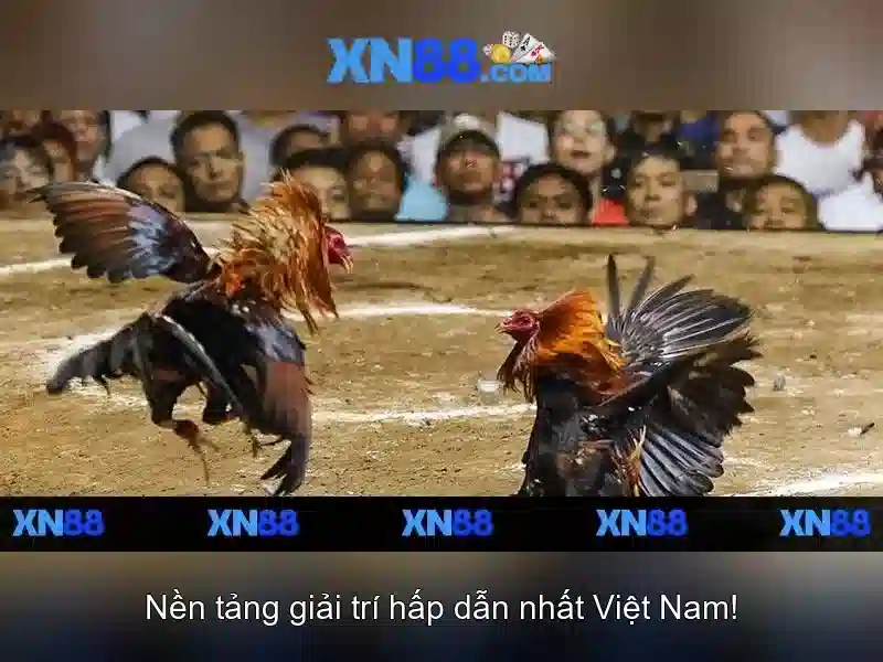 xn88: Tổng quan về nền tảng chơi game trực tuyến và cược Giao diện nhà cái hoàn hảo