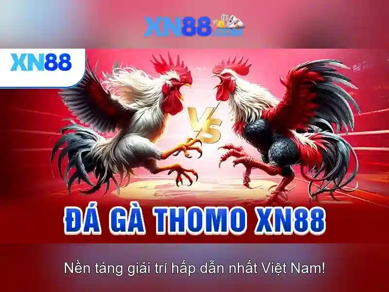 xn88: Nền tảng cược và giải trí trực tuyến hàng đầu