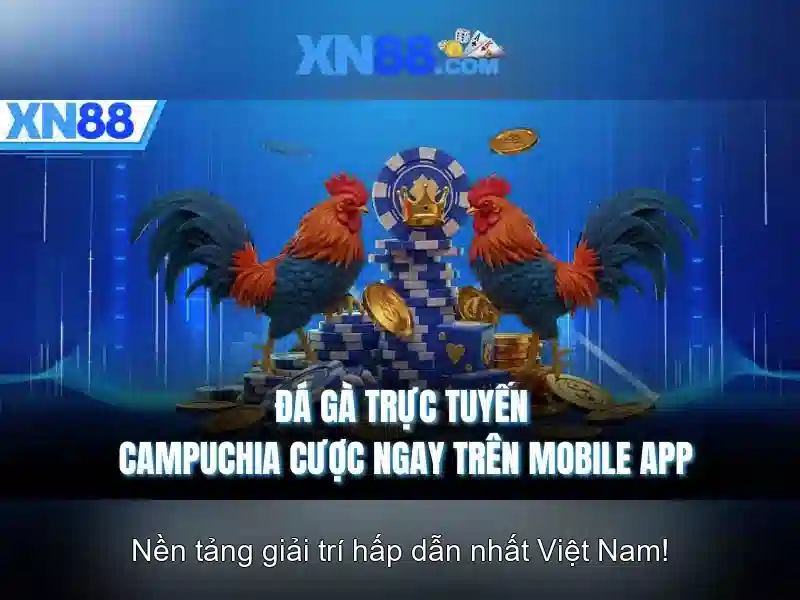 Giao diện nhà cái hoàn hảo