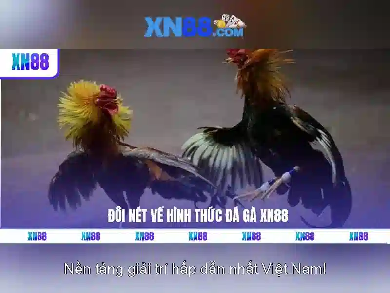 xn88: Nền tảng cá cược và trò chơi trực tuyến