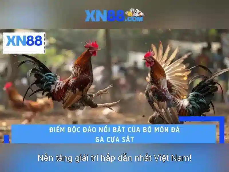 https://tiendam45.com/images/text/xn88/xn88-text260330422.webp Giới thiệu về xn88