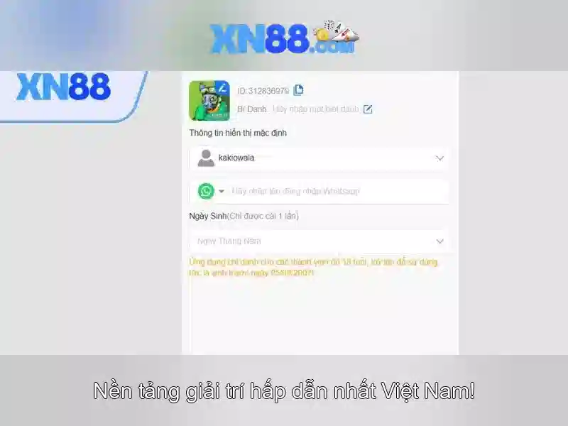 Giao diện và trải nghiệm người dùng\n\n