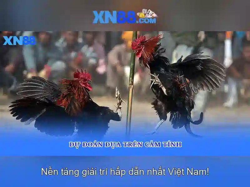https://tiendam45.com/images/text/xn88/xn88-text407.webp xn88 là gì