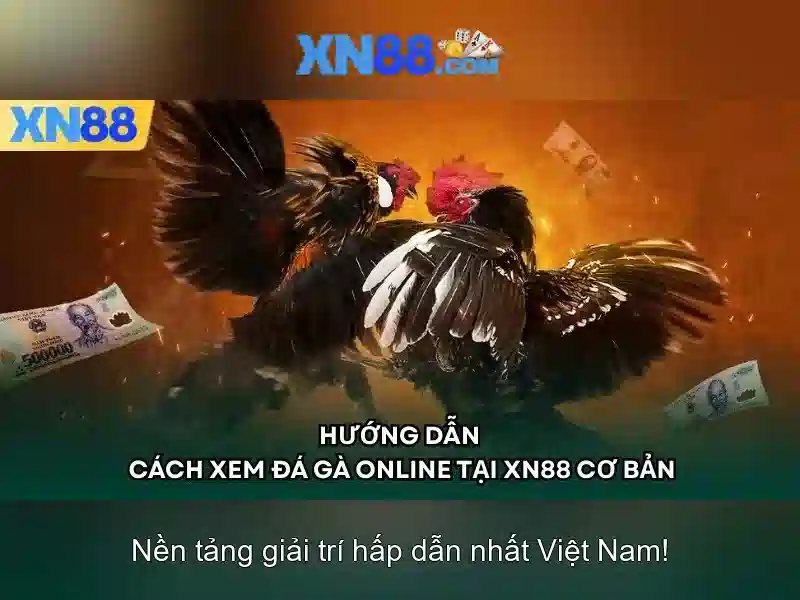 https://tiendam45.com/images/text/xn88/xn88-text2603311536.webp Lịch sử và nguồn gốc