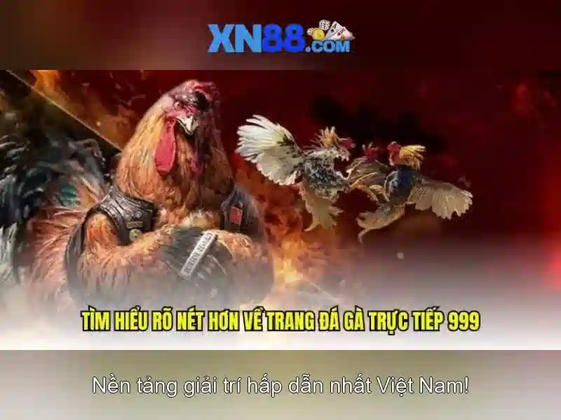 https://tiendam45.com/images/text/xn88/xn88-text2603302231.webp Các tính năng nổi bật\n