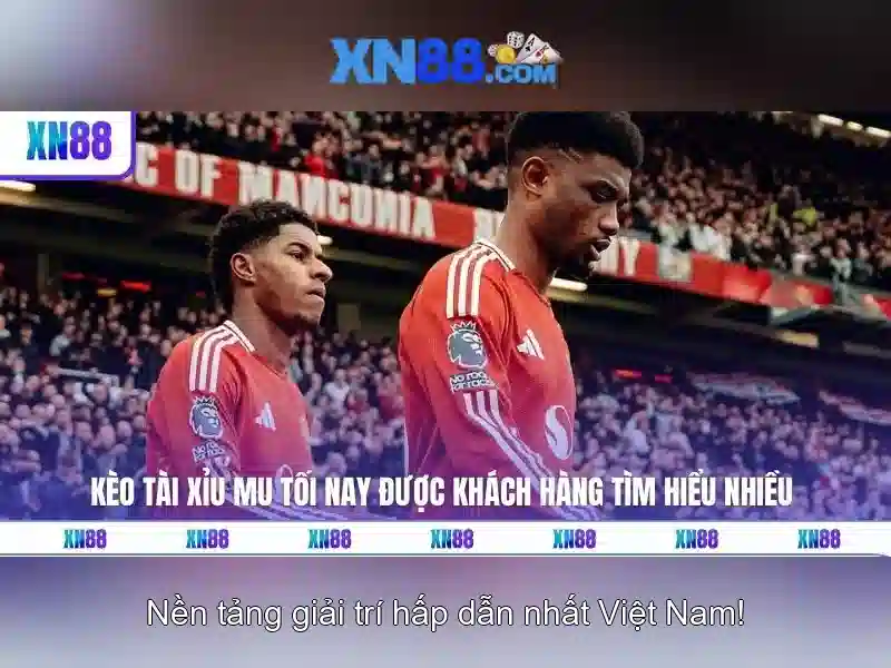 Khám phá xn88: Nền tảng giải trí trực tuyến và trò chơi đẳng cấp Giao diện nhà cái hoàn hảo