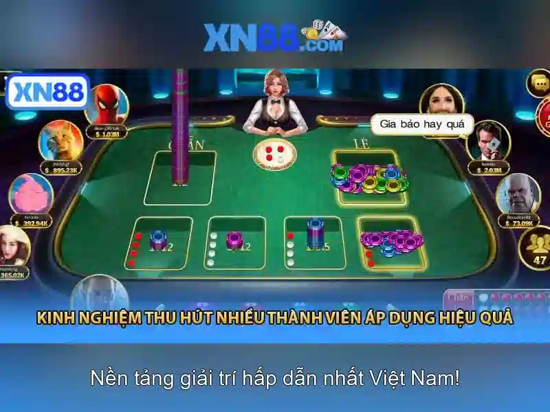Sản phẩm và dịch vụ cốt lõi của xn88 apk