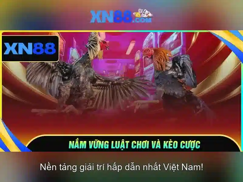 xn88: Nền tảng chơi game trực tuyến và đánh giá
